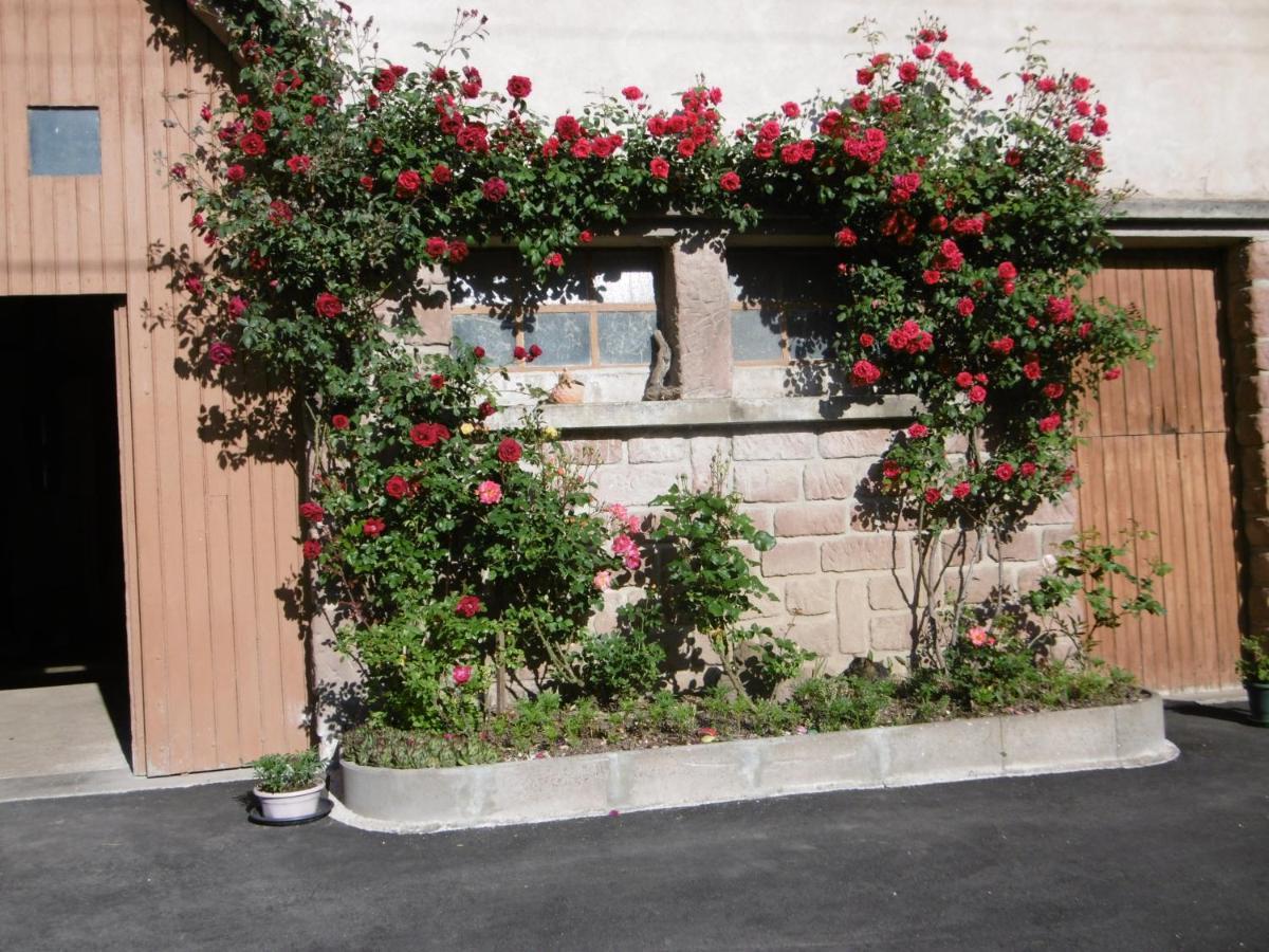 Chez Catherine Et Roger Brouvelieures Esterno foto